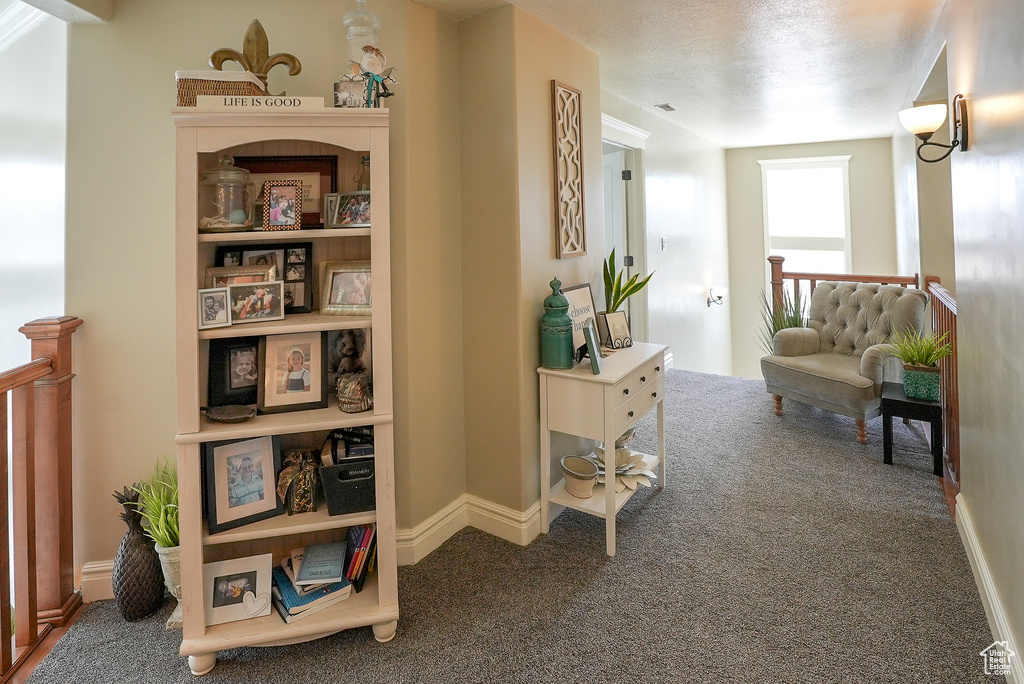 Hallway with carpet and baseboards