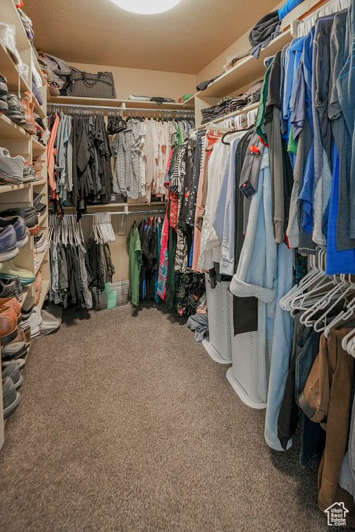 Spacious closet featuring carpet floors