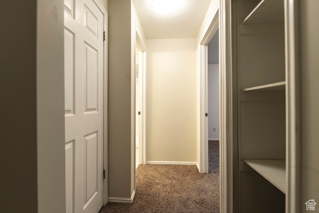Hallway with carpet floors and baseboards