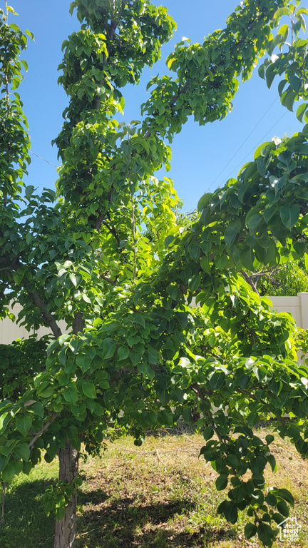 View of nature