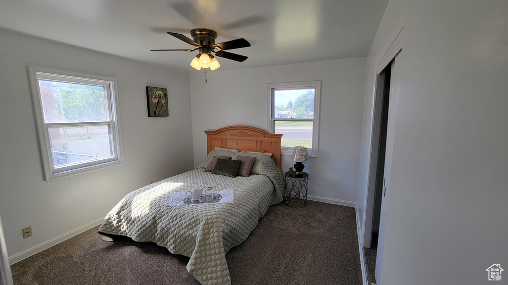 Carpeted bedroom with multiple windows, baseboards, and a ceiling fan