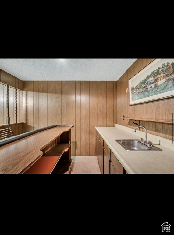 Bar area featuring a sink, wooden walls, and a textured ceiling