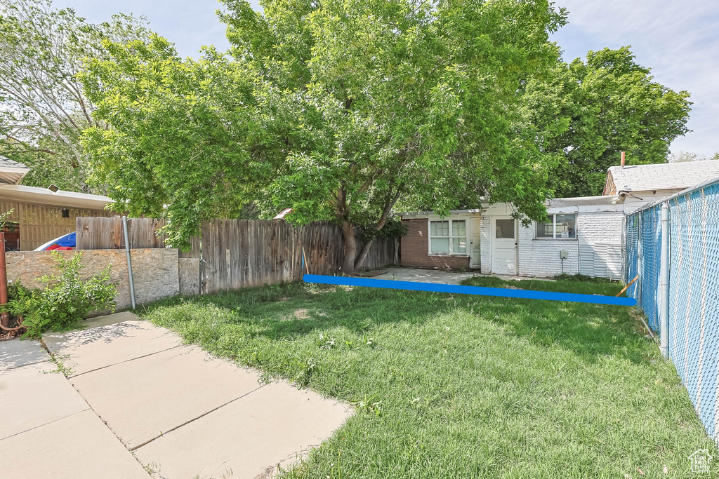 View of yard
