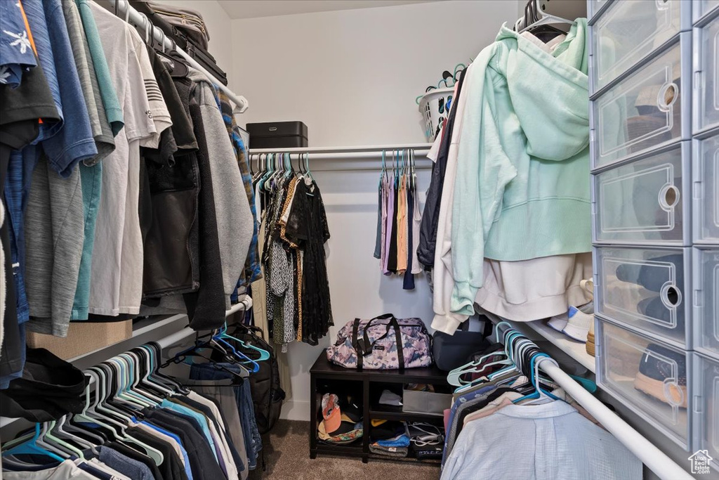 Spacious closet with carpet flooring
