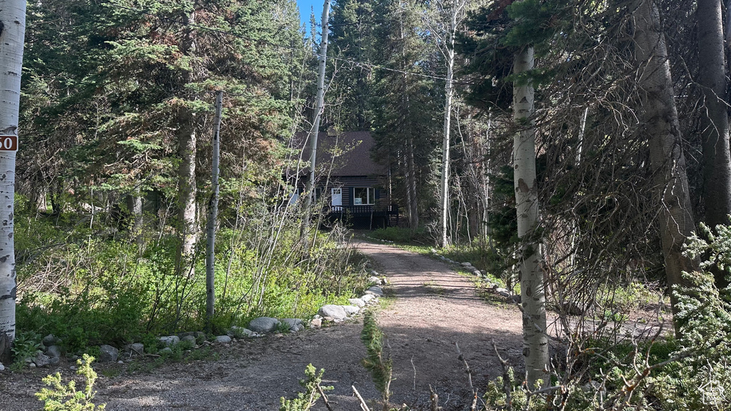 View of dirt / gravel road featuring a wooded view
