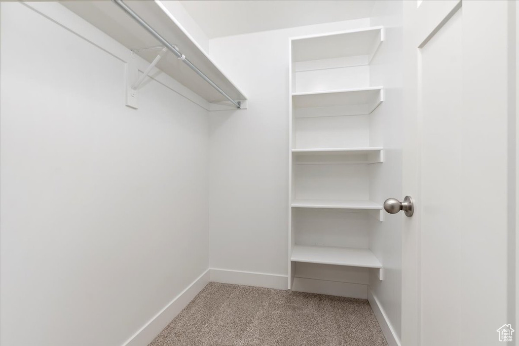 Walk in closet featuring carpet floors