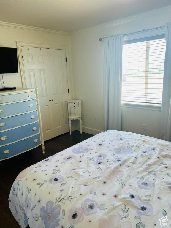 Bedroom featuring a closet, dark wood-type flooring, ornamental molding, and baseboards