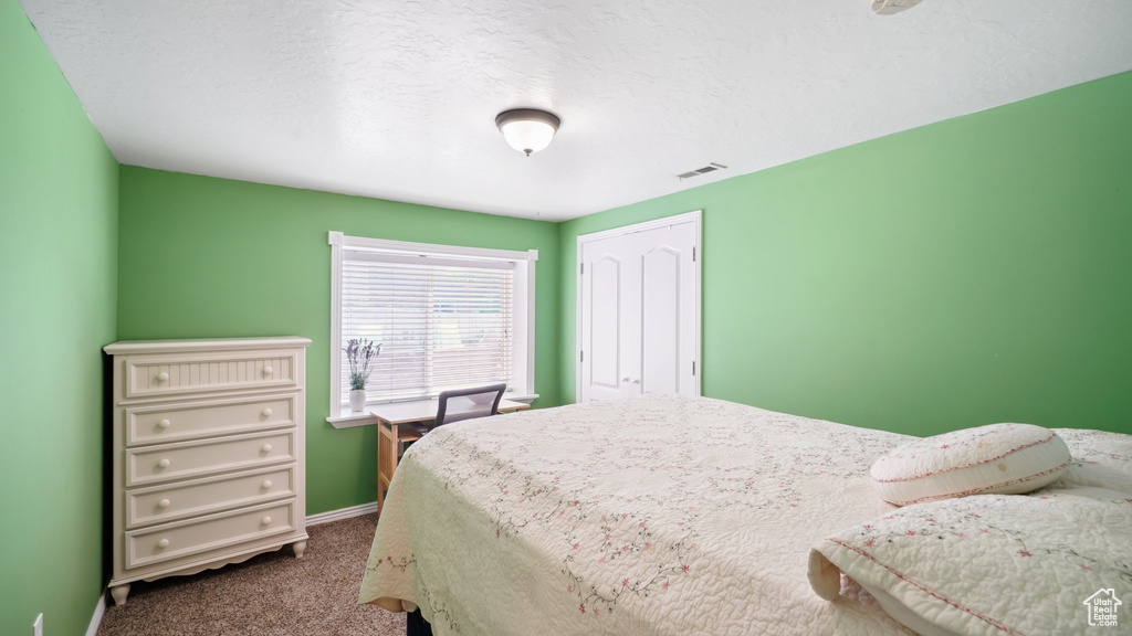 Carpeted bedroom featuring baseboards and a closet