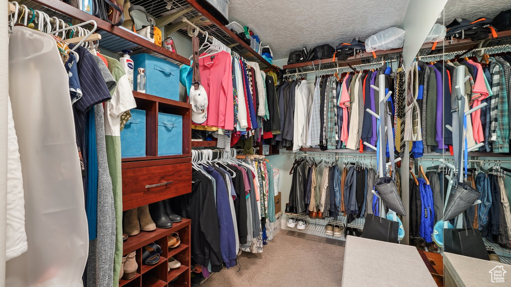 Spacious closet featuring carpet flooring