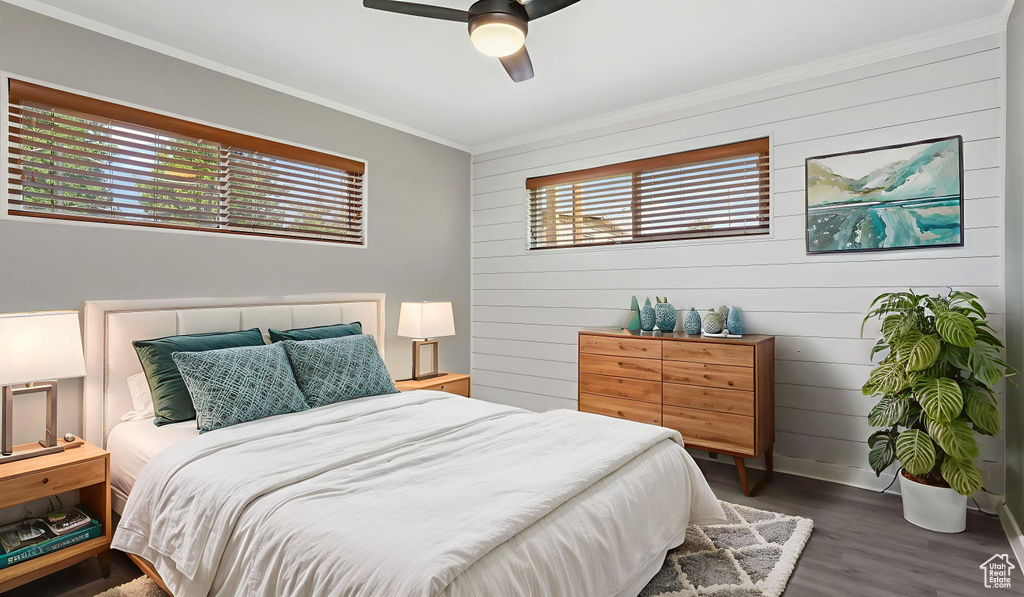 Bedroom featuring multiple windows, ornamental molding, dark wood-type flooring, baseboards, and ceiling fan