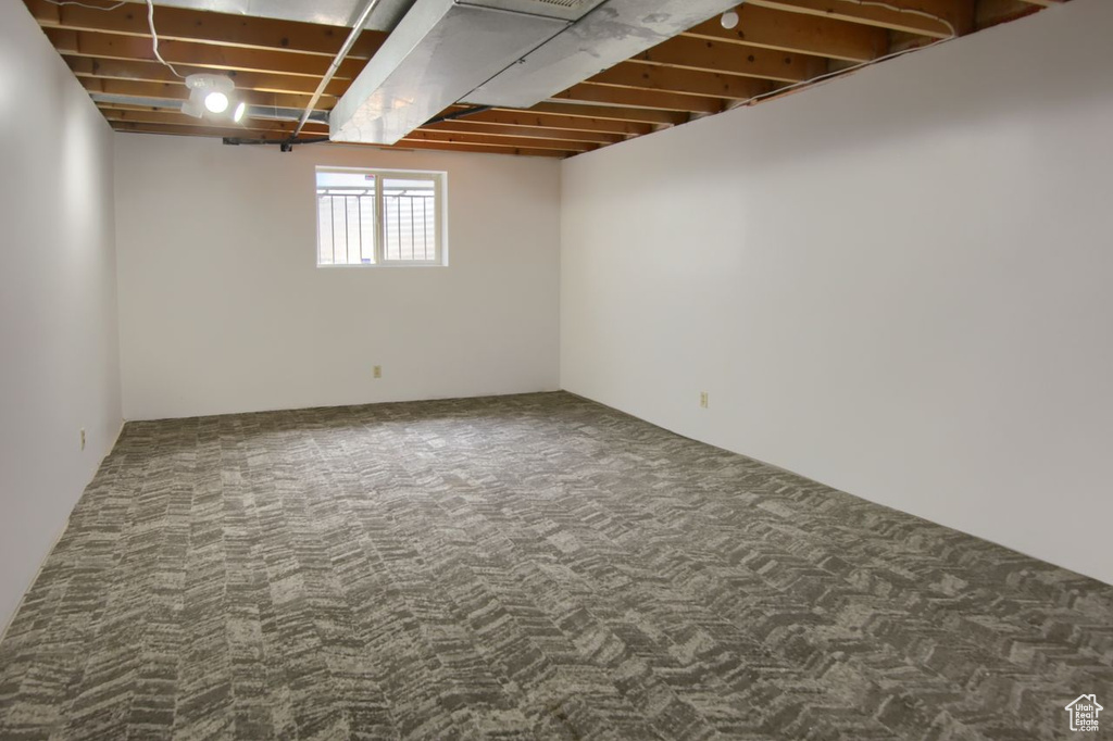 Basement featuring carpet
