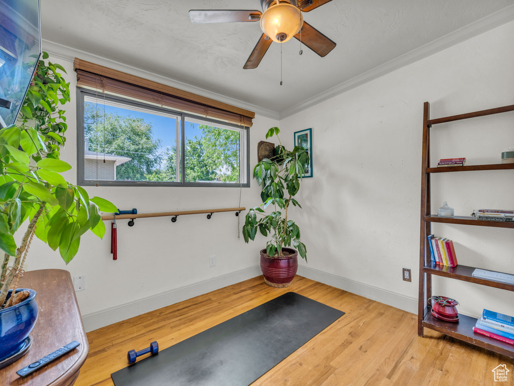 Exercise room featuring wood finished floors, baseboards, ornamental molding, and a ceiling fan