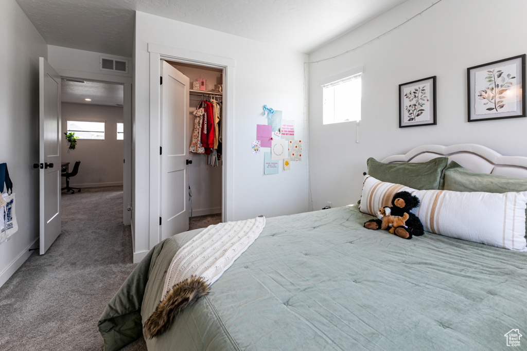 Bedroom featuring multiple windows, a walk in closet, carpet floors, and baseboards
