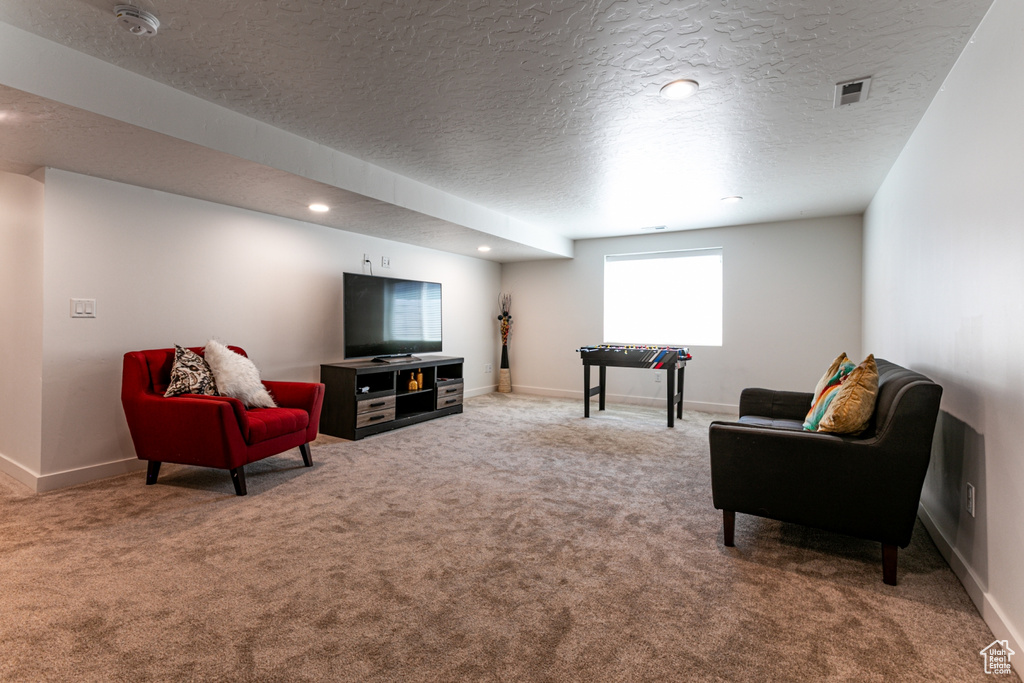 Carpeted living room featuring a textured ceiling, baseboards, and recessed lighting