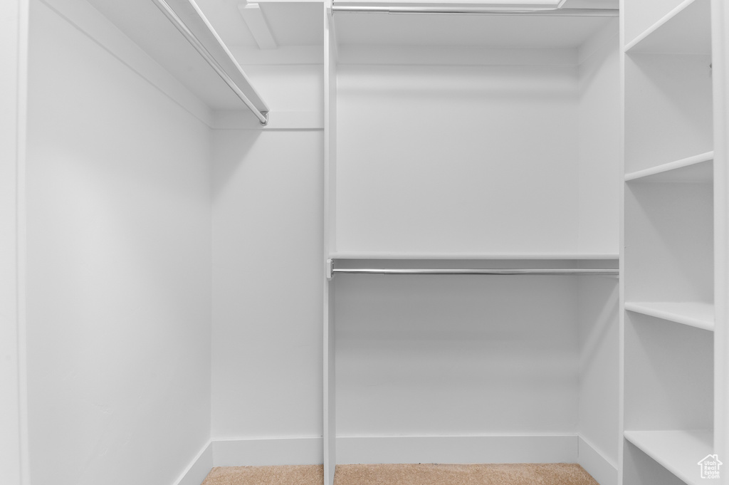 Spacious closet with carpet flooring