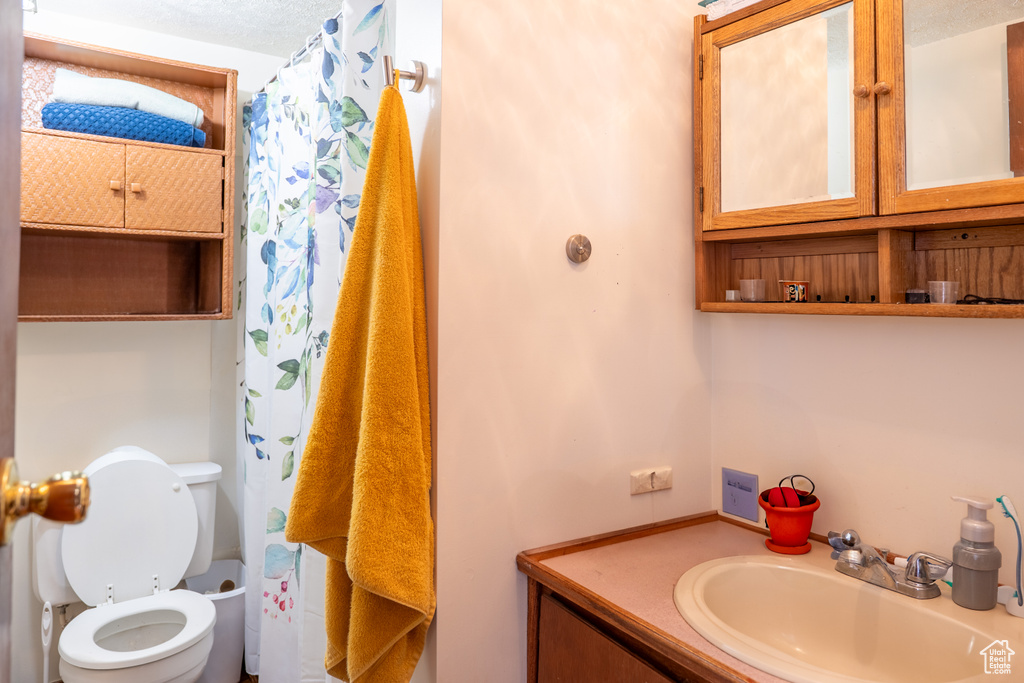 Bathroom with toilet, vanity, and a shower with shower curtain