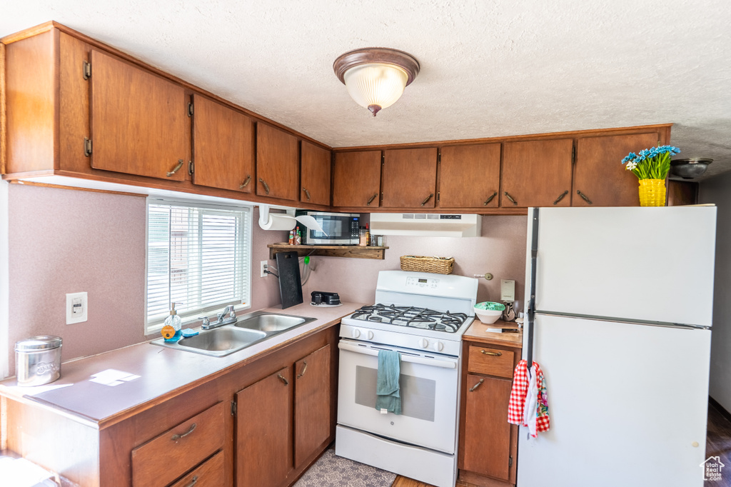 Kitchen featuring white appliances, under cabinet range hood, a sink, light countertops, and brown cabinets