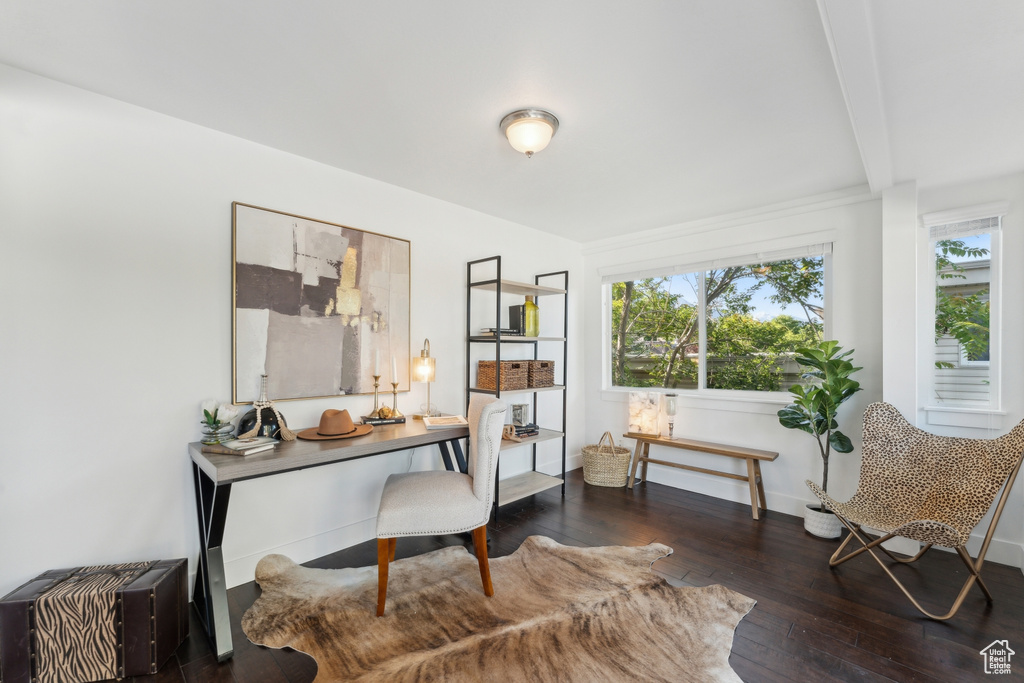 Office area with healthy amount of natural light, hardwood / wood-style floors, and baseboards