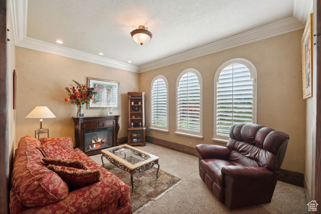 Carpeted living area with a glass covered fireplace, ornamental molding, baseboards, and recessed lighting