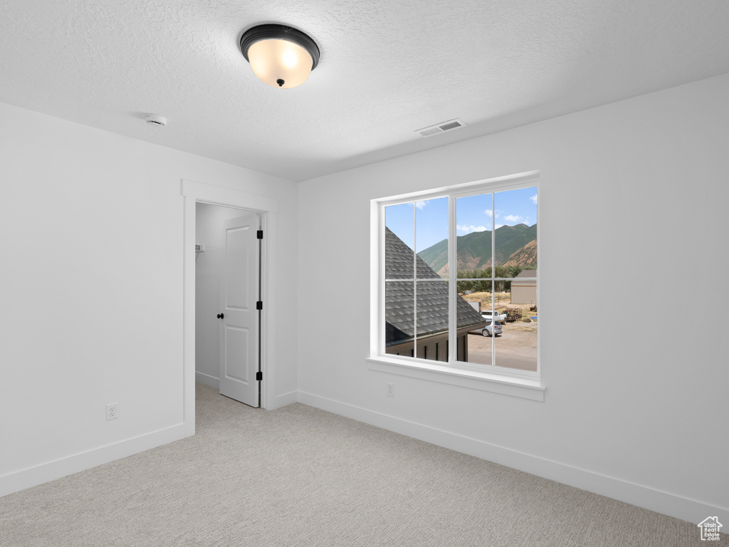 Spare room with a textured ceiling, carpet, a mountain view, and a smoke detector
