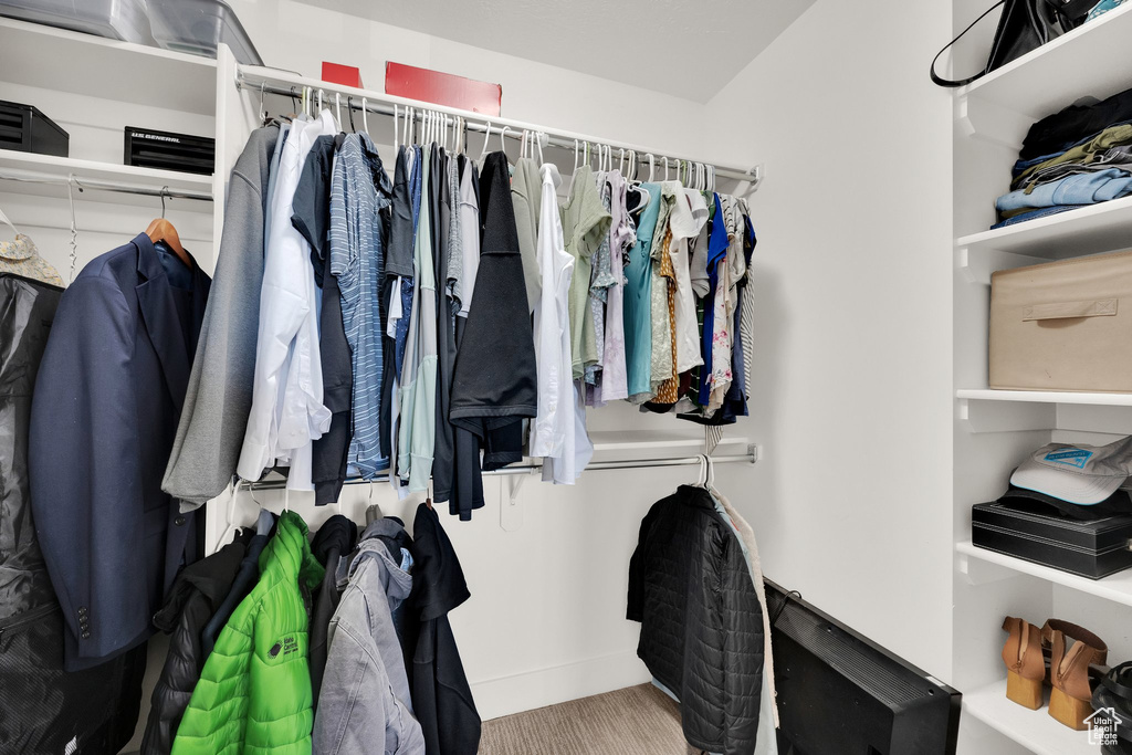 Walk in closet with wood finished floors