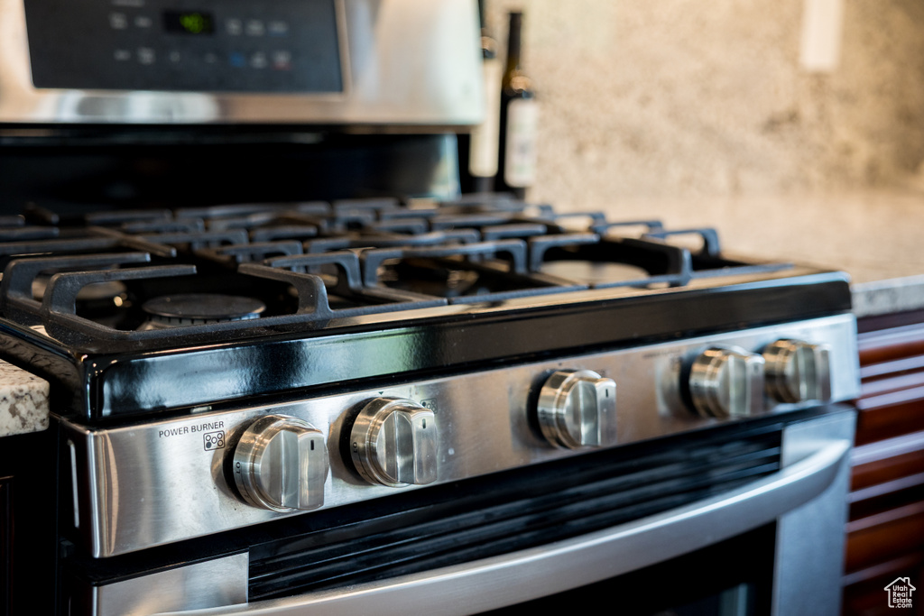 Detailed view of stainless steel gas range oven