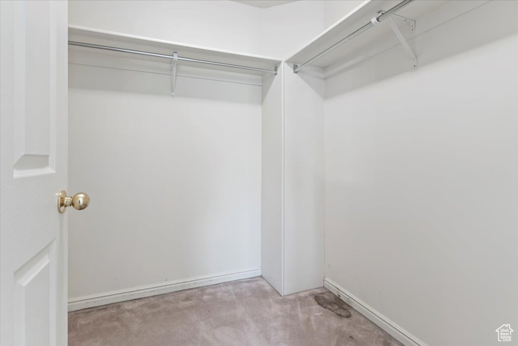 Walk in closet with carpet flooring