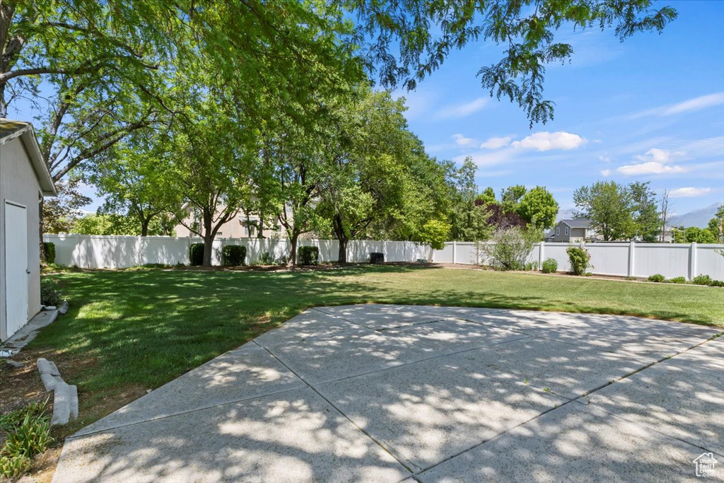 View of yard featuring a patio