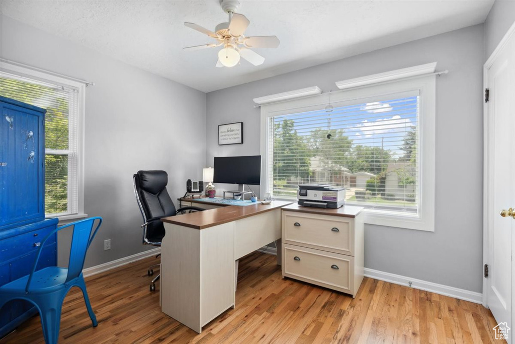 Office area with ceiling fan, baseboards, light wood-type flooring, and healthy amount of natural light