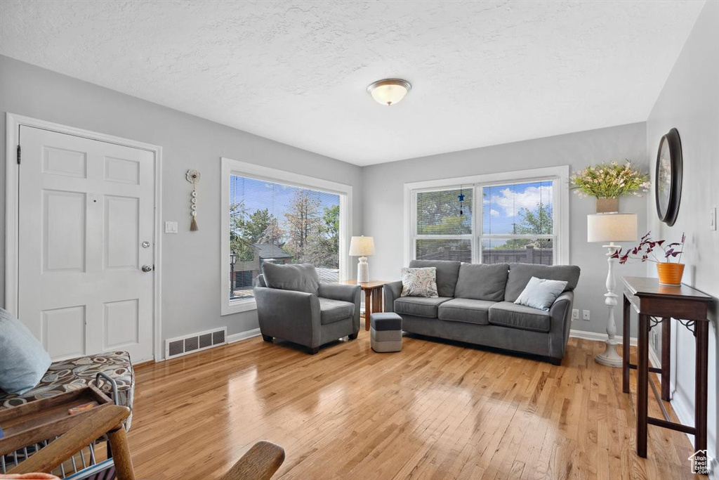 Living room with light wood-style flooring, baseboards, and a textured ceiling