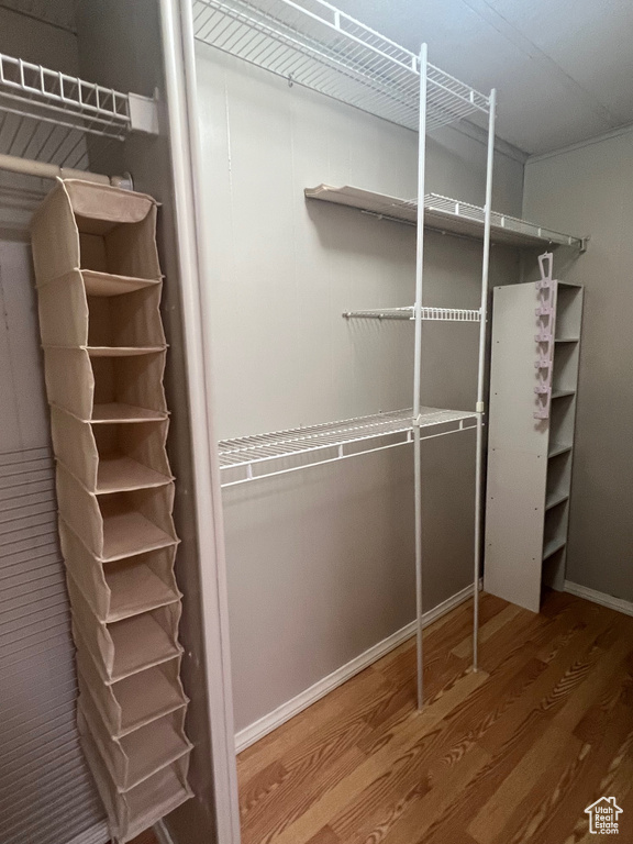 Spacious closet featuring wood finished floors
