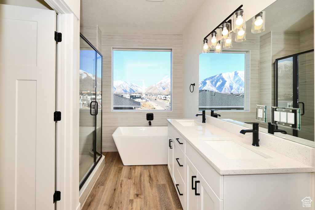 Bathroom featuring a freestanding tub, healthy amount of natural light, double vanity, and a shower stall