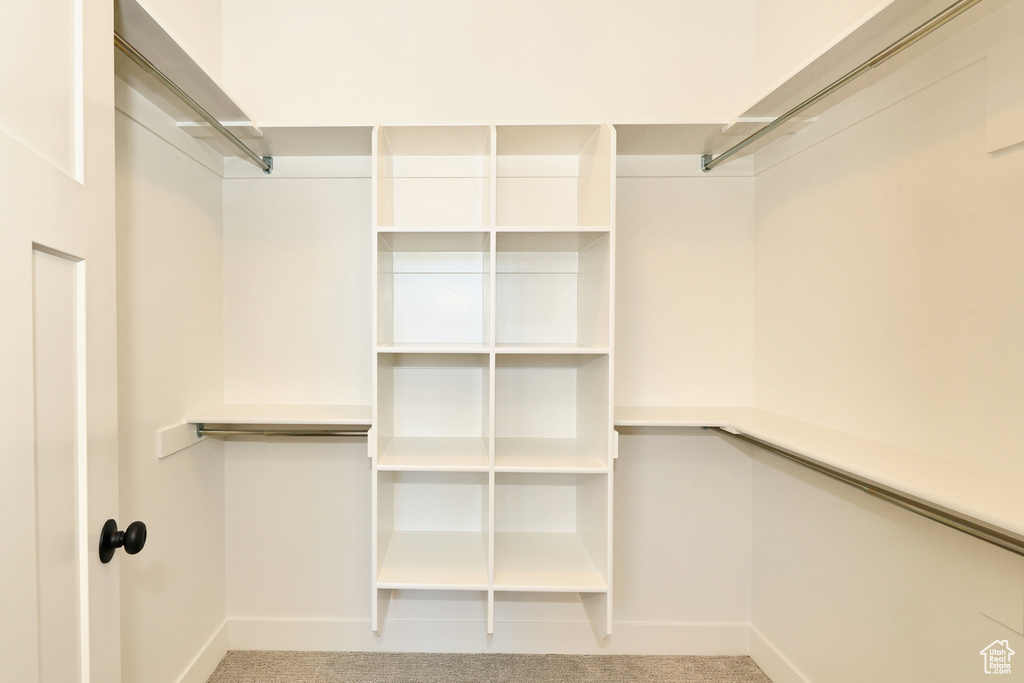 Spacious closet with carpet