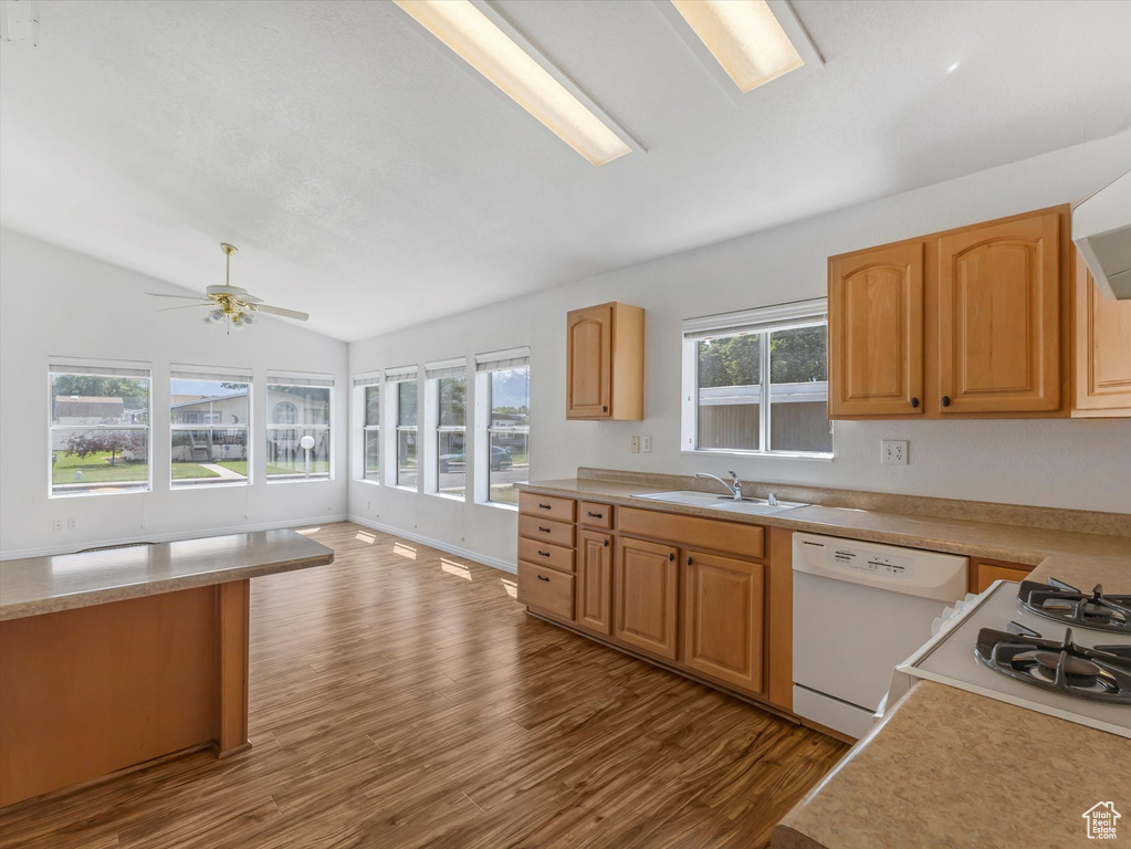 Kitchen featuring white dishwasher, lofted ceiling, light countertops, dark wood-style flooring, and a sink