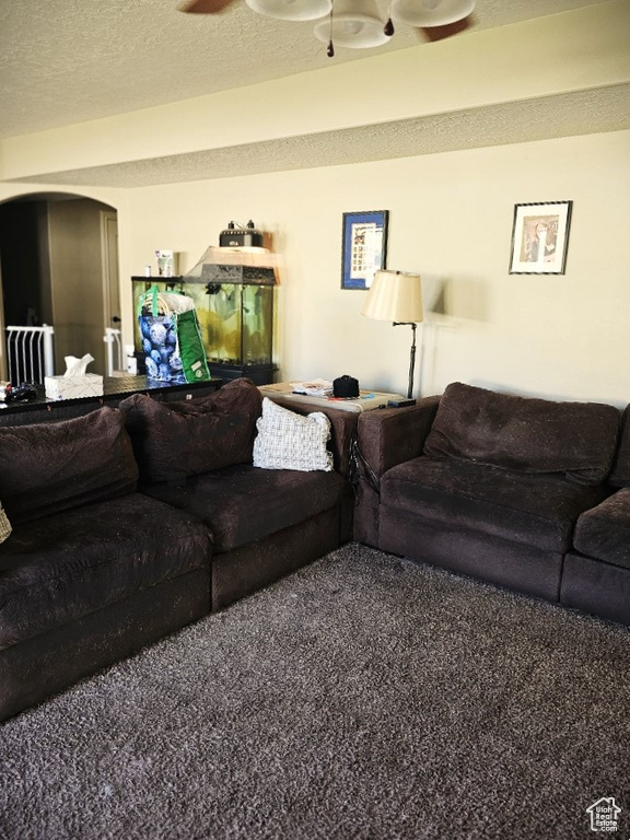 Carpeted living room with arched walkways, radiator heating unit, and a textured ceiling
