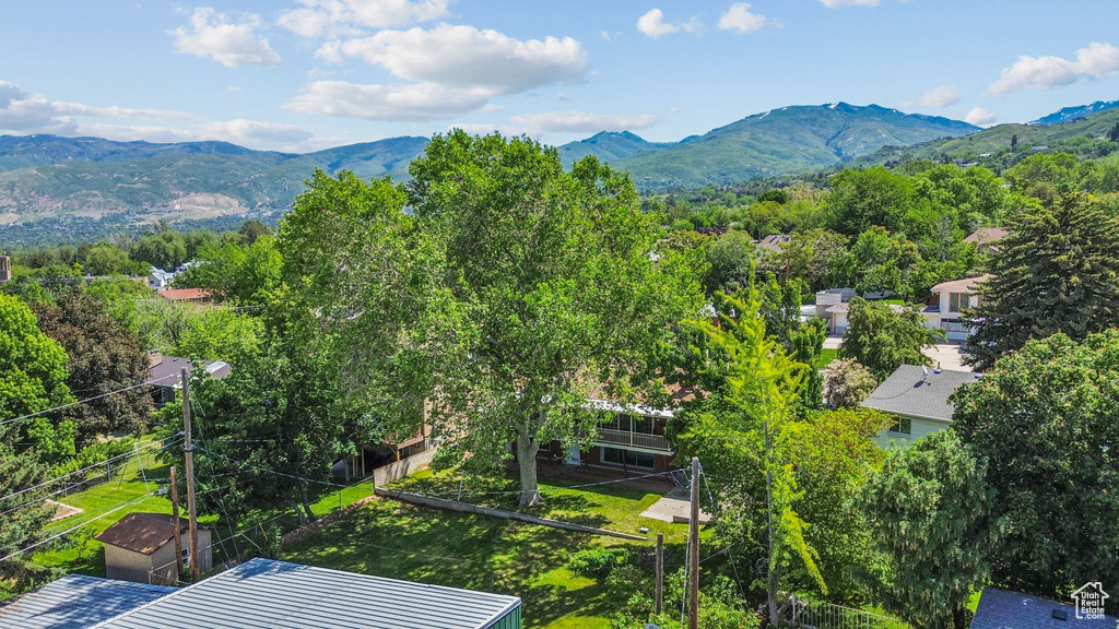View of mountain background