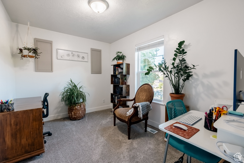 Office area with carpet, baseboards, and a textured ceiling