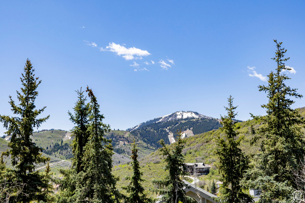 Mountain view
