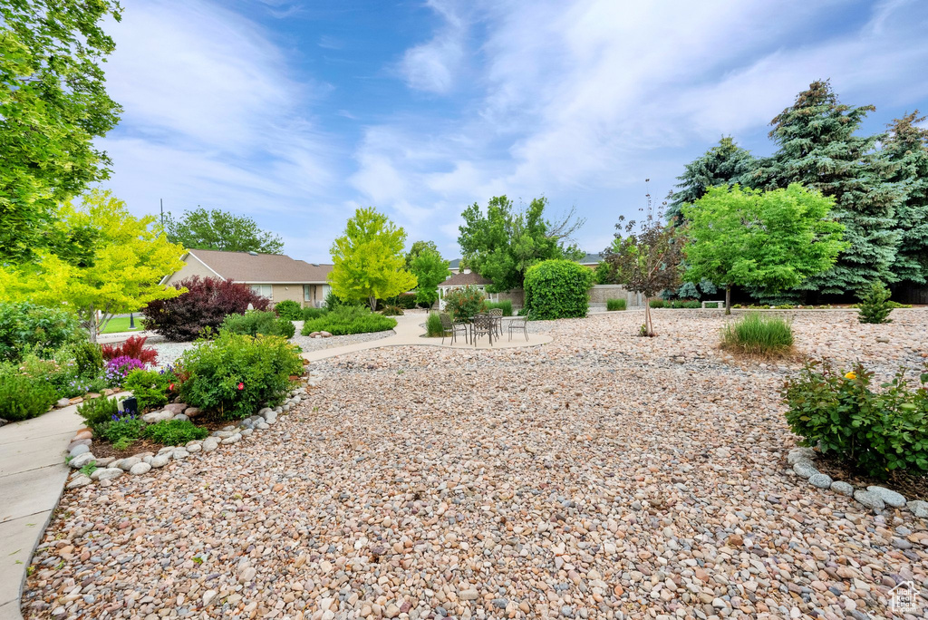 View of yard with a patio