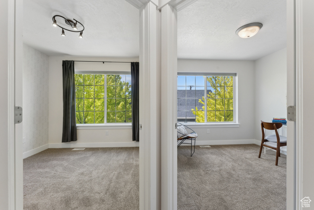 Interior space with carpet floors, baseboards, and a textured ceiling