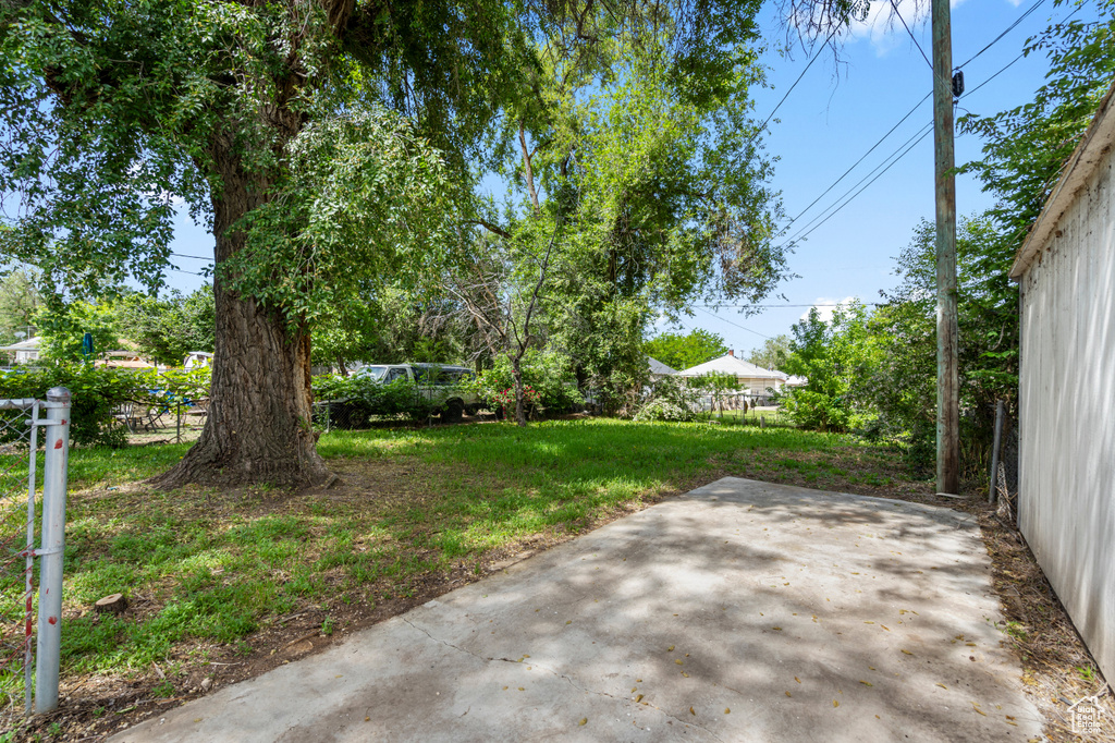 View of yard featuring a patio area