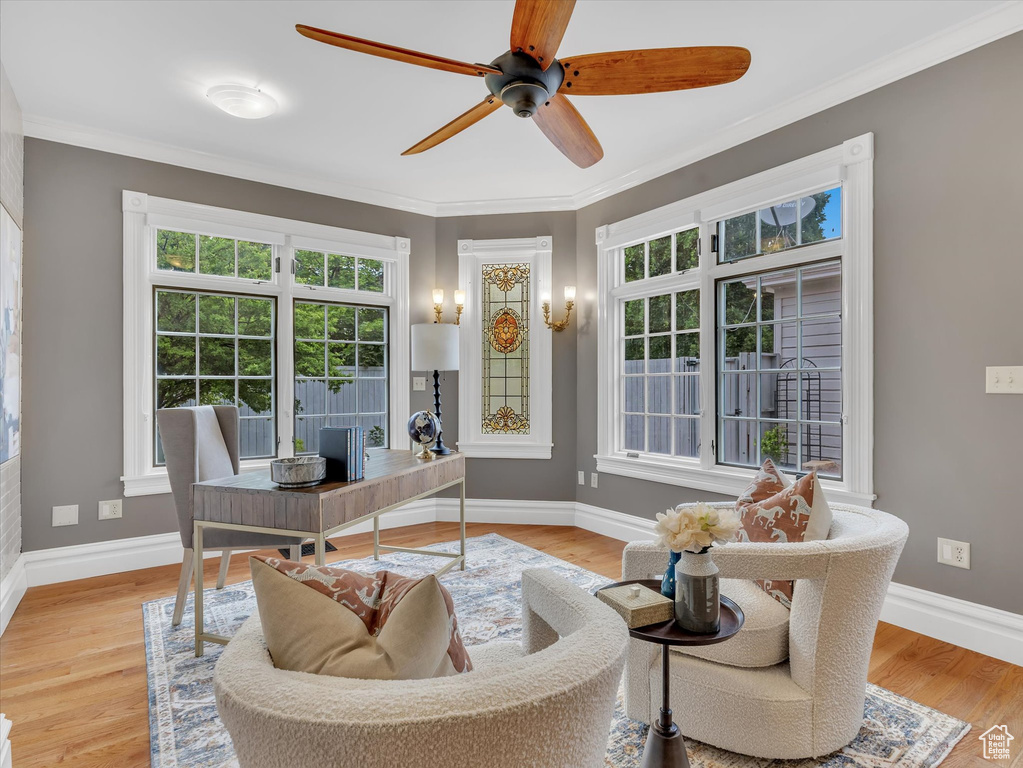 Office space featuring baseboards, a ceiling fan, light wood finished floors, and ornamental molding