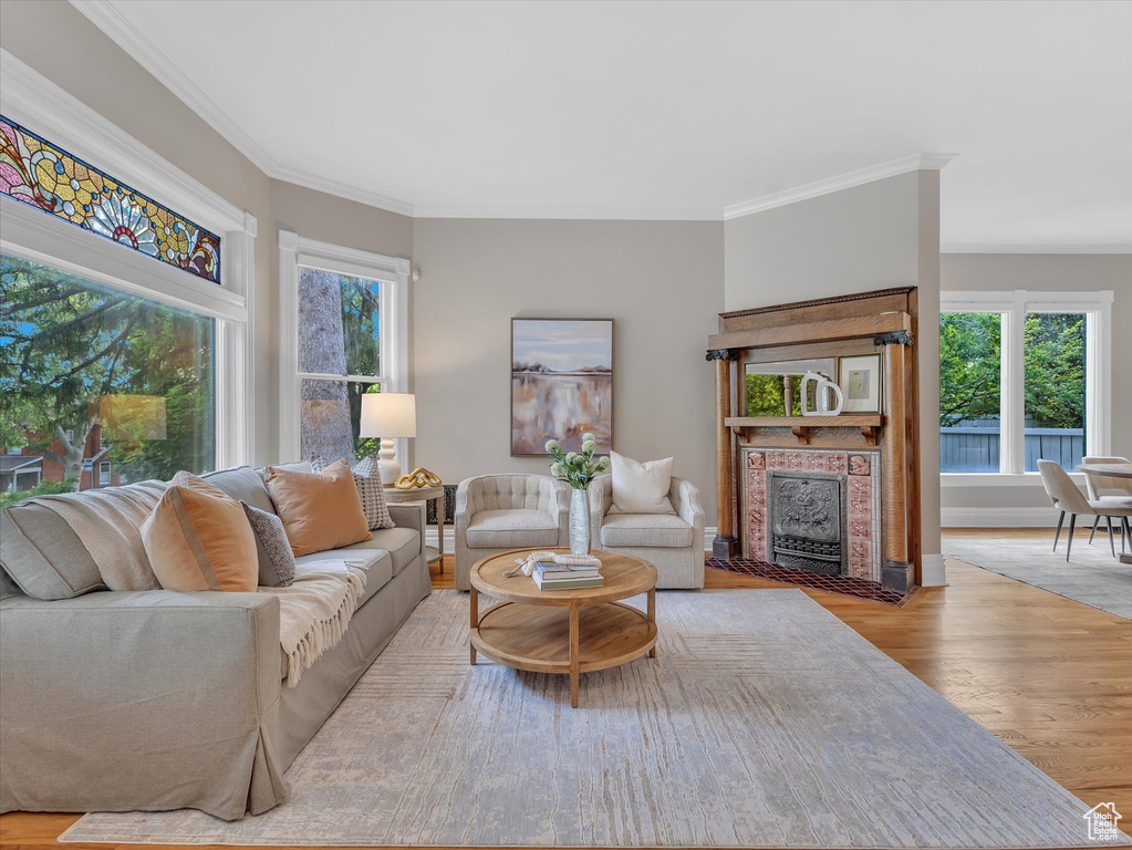 Living area with healthy amount of natural light, a tile fireplace, wood finished floors, and crown molding