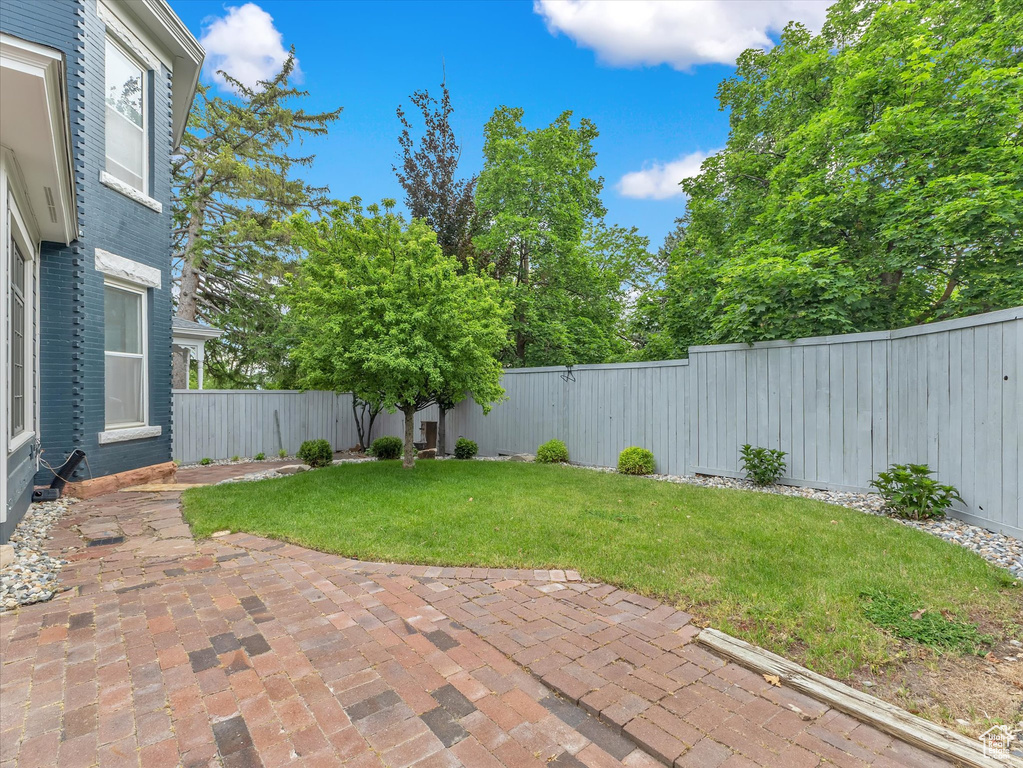 View of yard featuring a patio