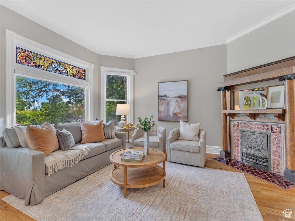 Living room featuring ornamental molding, wood finished floors, and a tile fireplace