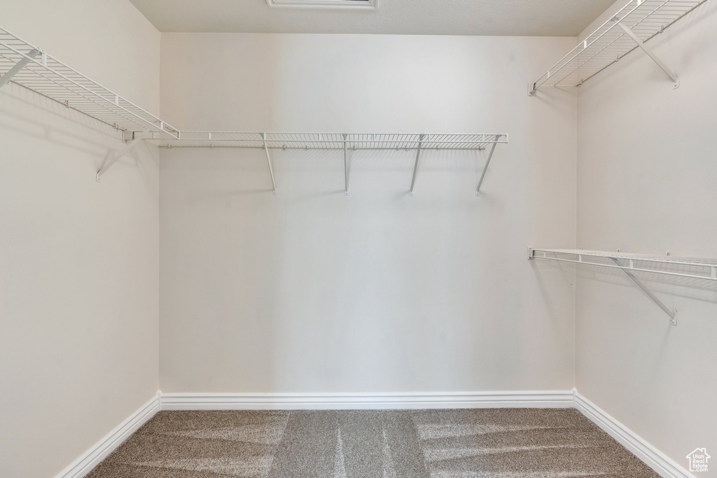 Walk in closet with carpet floors