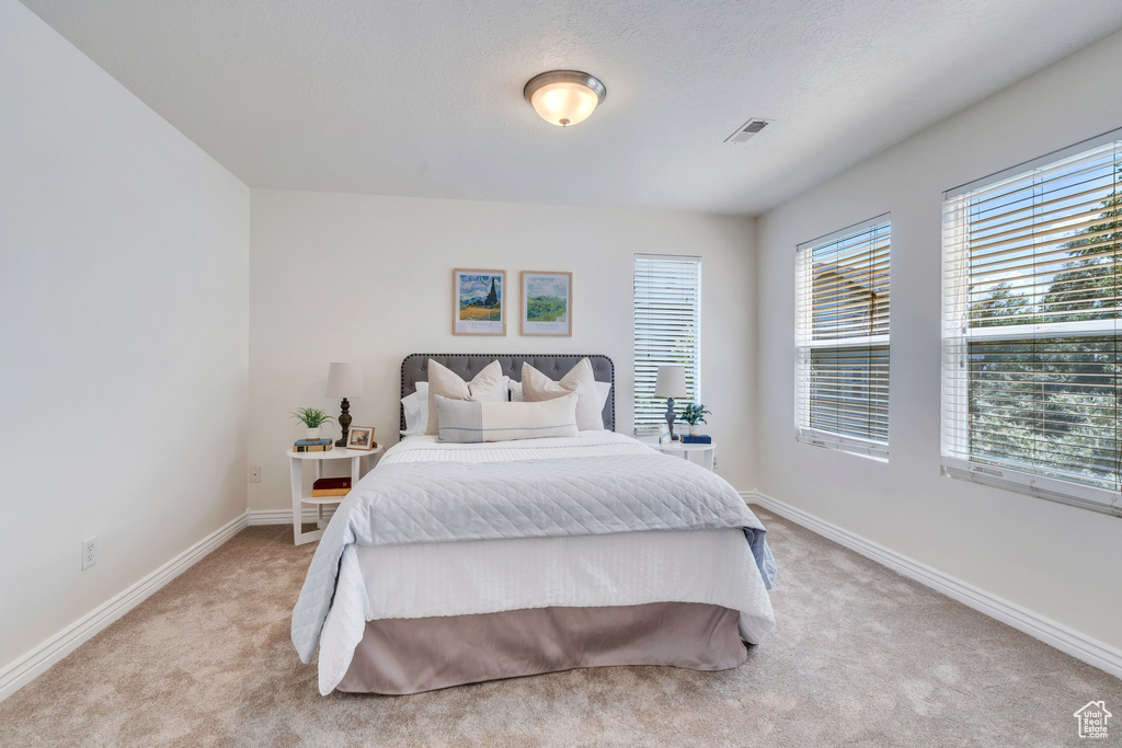 Bedroom with light colored carpet and baseboards