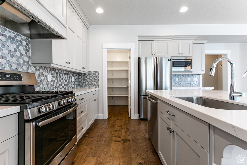 Kitchen featuring stainless steel appliances, custom range hood, a sink, dark wood-style floors, and decorative backsplash