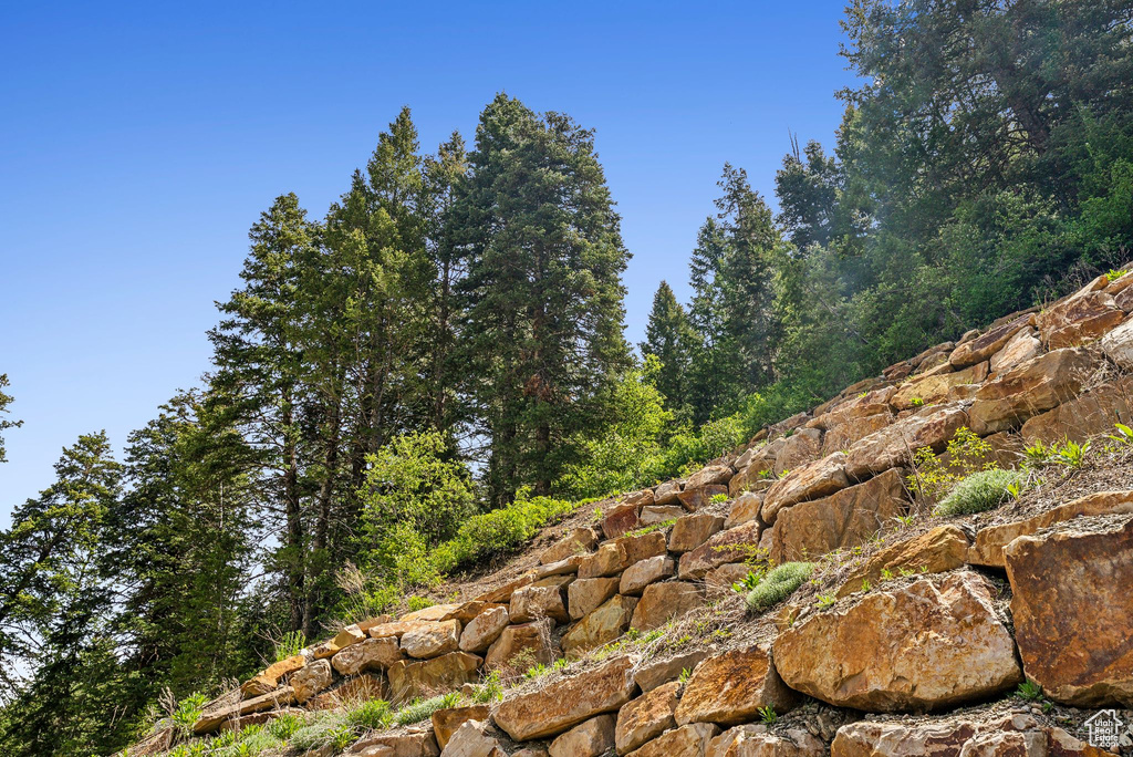 View of local wilderness