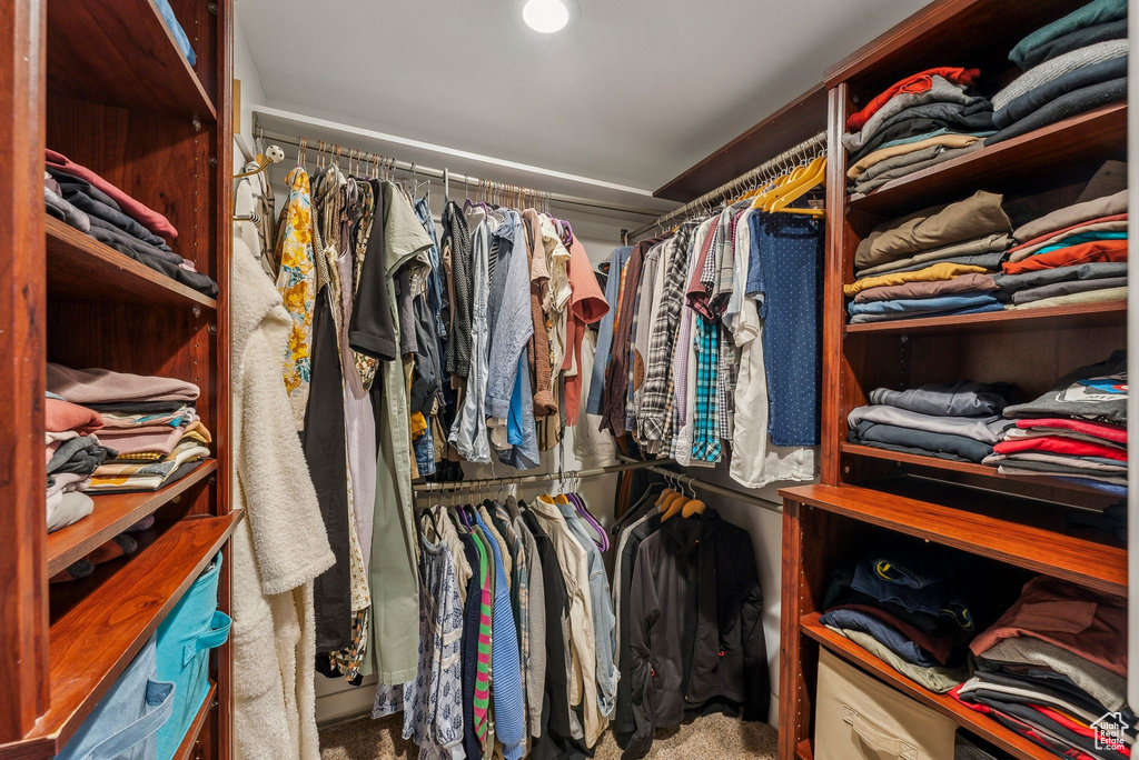 View of walk in closet